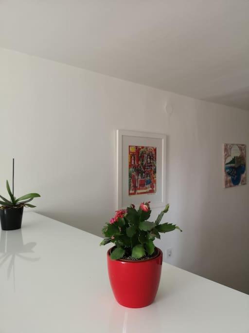 Studio Apartment Ivana - New Sweet Apartment Dubrovnik Dış mekan fotoğraf